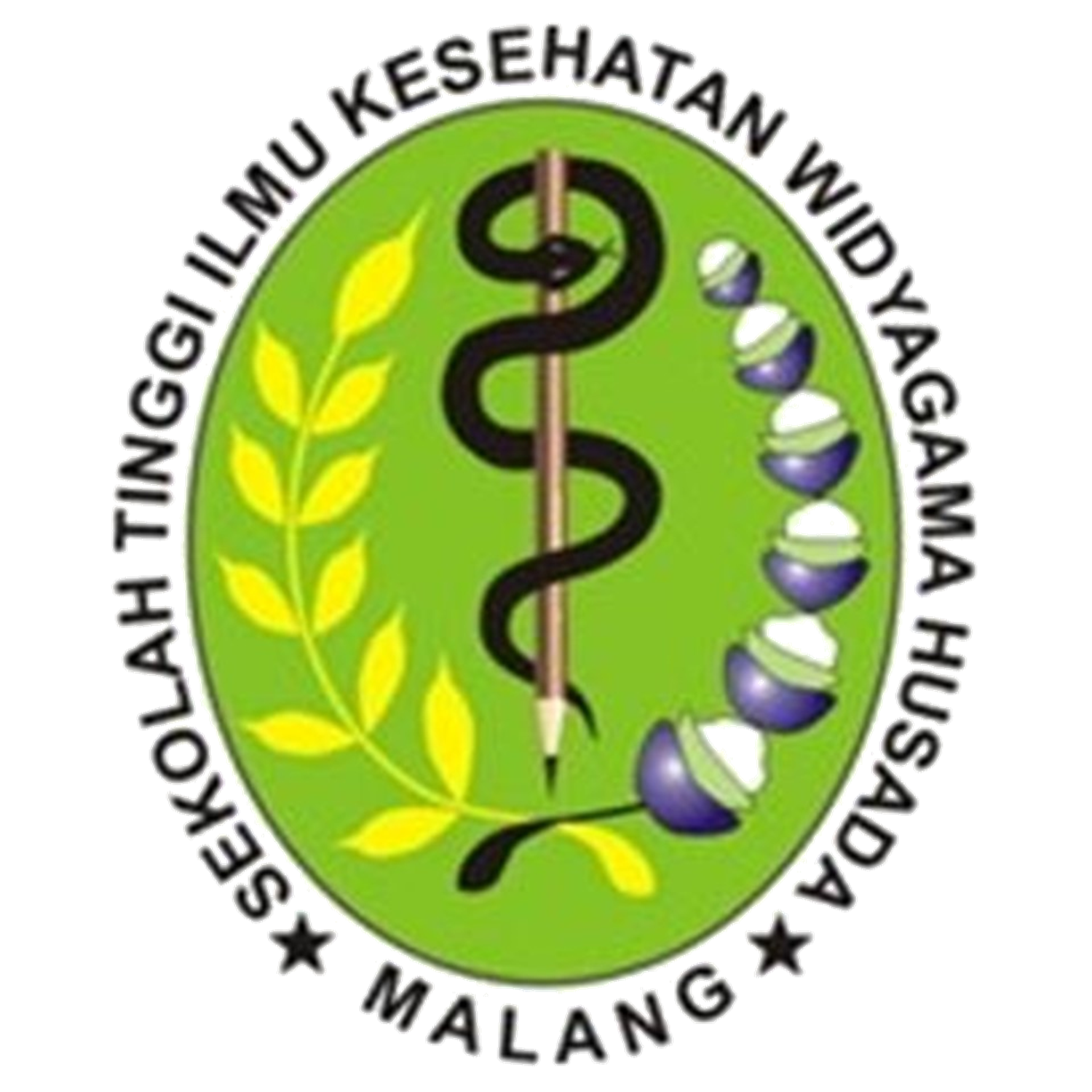 Stikes Widyagama